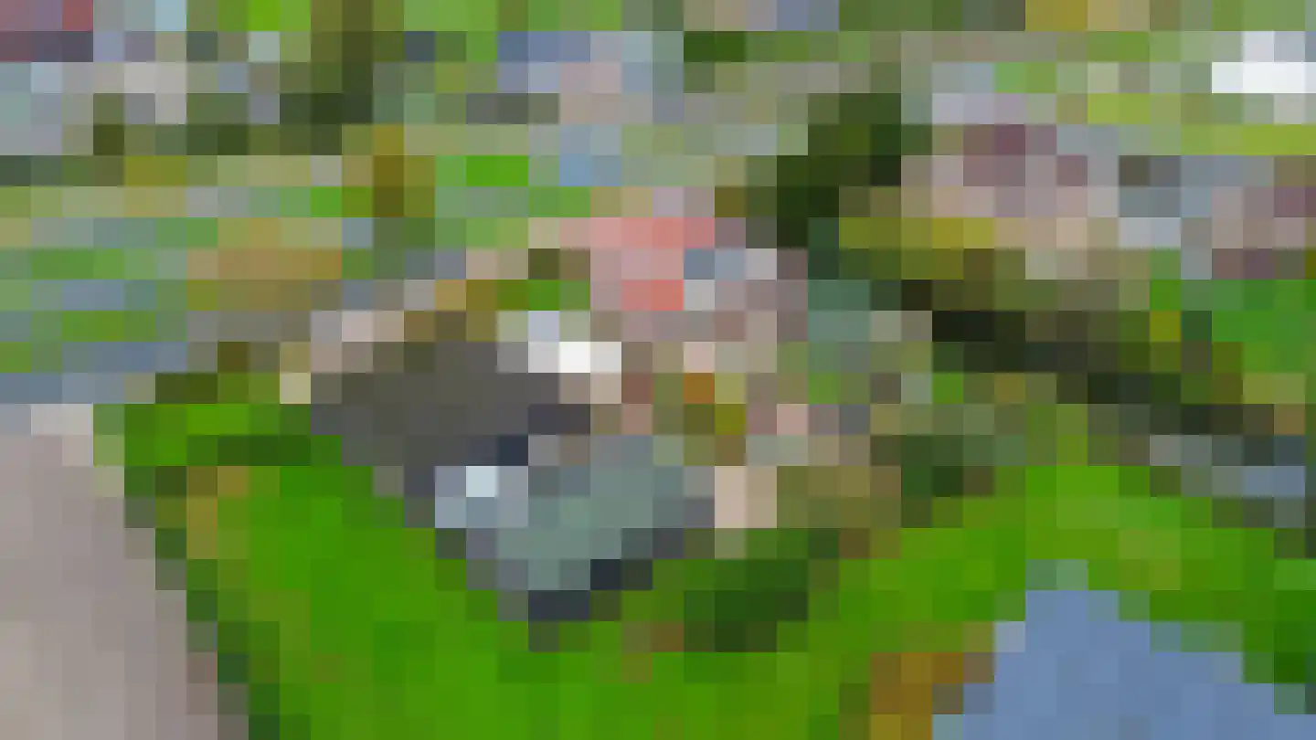 Hoofdweg 288 Capelle aan den IJssel thumbnail 46