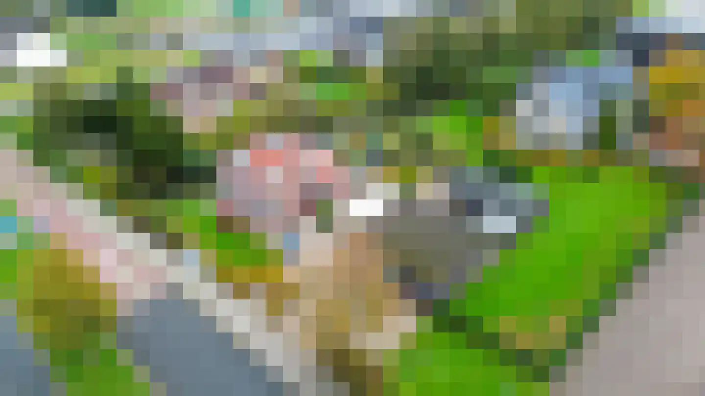 Hoofdweg 288 Capelle aan den IJssel thumbnail 48