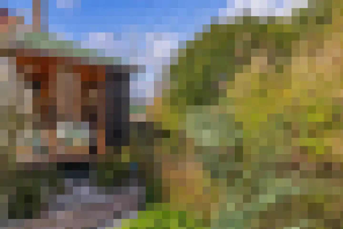 Hoofdweg 288 Capelle aan den IJssel thumbnail 73