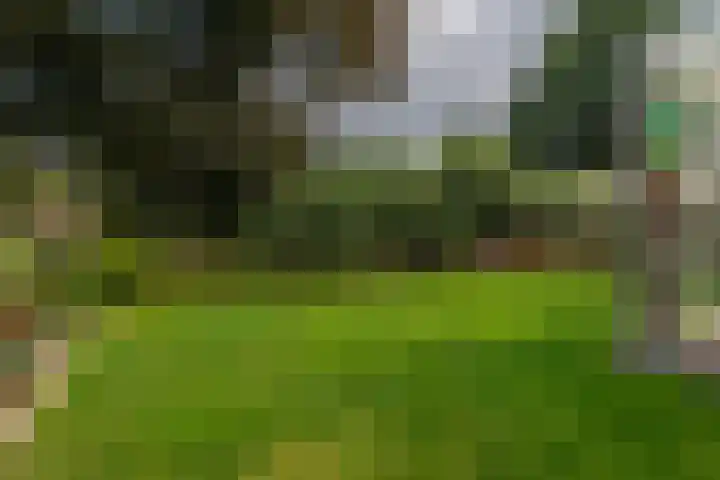 Hoofdweg 3 Hellum thumbnail 41