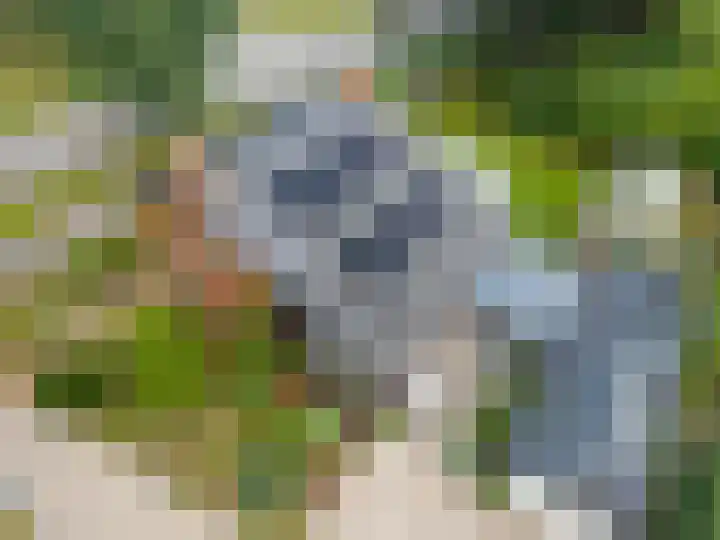 Hoofdweg 3 Hellum thumbnail 51