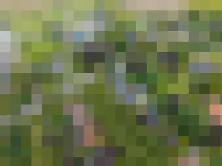 Hoofdweg 3 Hellum thumbnail 53