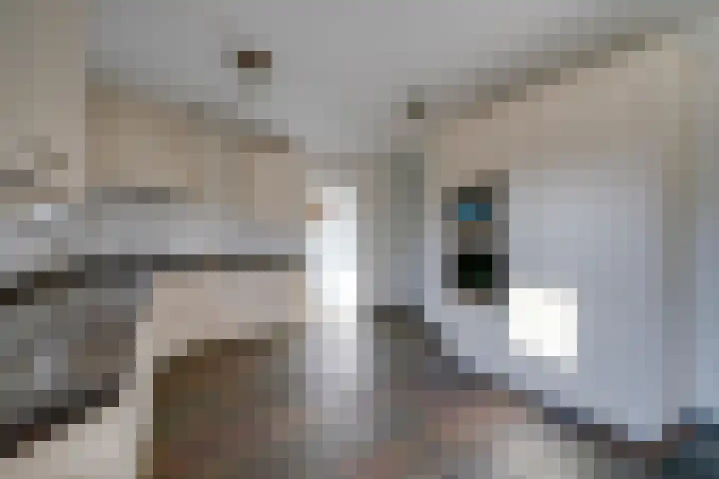 Hoofdweg 3 J Mijdrecht thumbnail 19