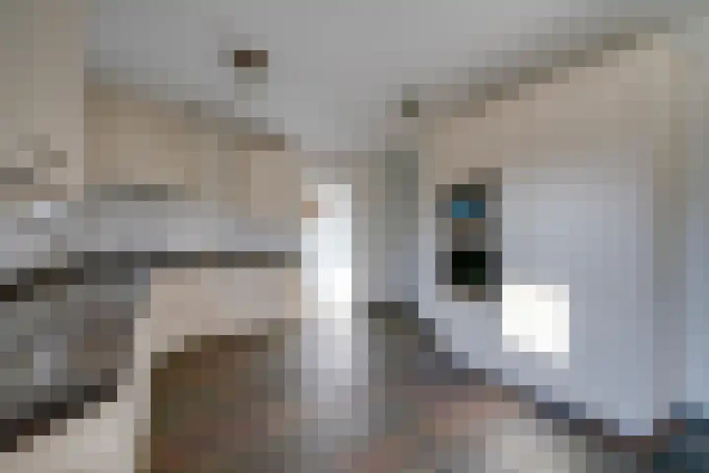 Hoofdweg 3 J Mijdrecht thumbnail 21