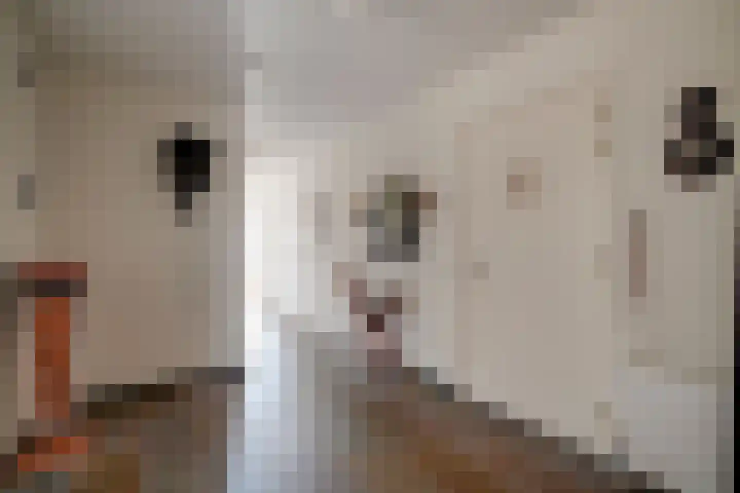 Hoofdweg 3 J Mijdrecht thumbnail 5