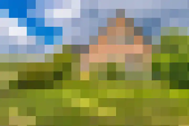 Hoofdweg 3 Klijndijk thumbnail 4