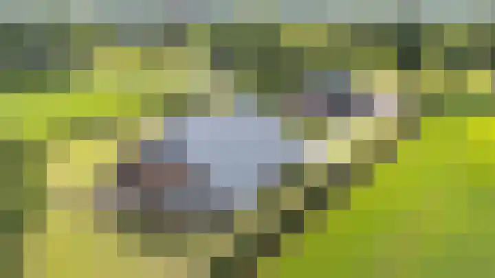 Hoofdweg 3 Klijndijk thumbnail 5