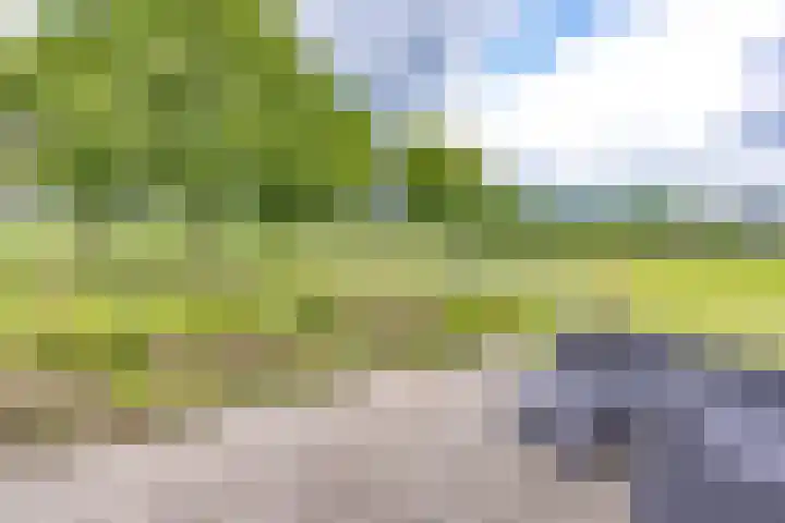 Hoofdweg 3 Klijndijk thumbnail 54