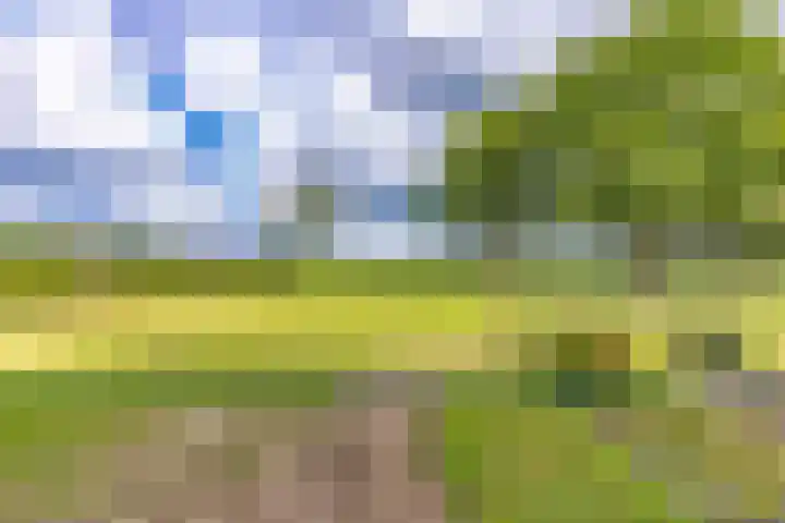 Hoofdweg 3 Klijndijk thumbnail 56