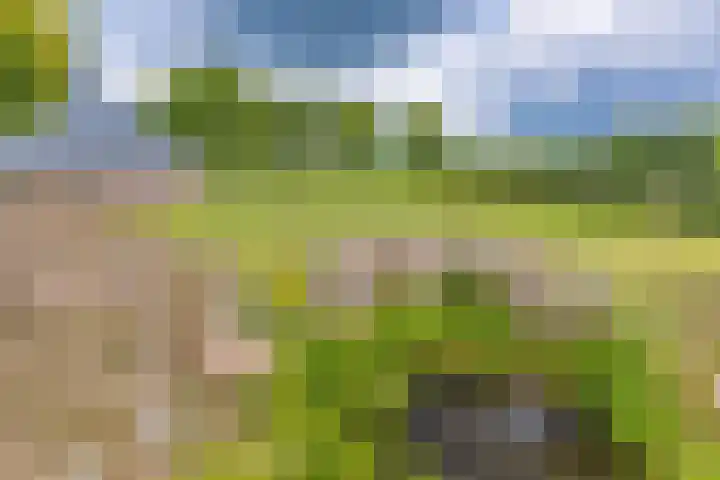 Hoofdweg 3 Klijndijk thumbnail 57