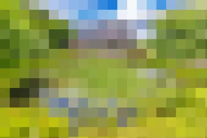 Hoofdweg 3 Klijndijk thumbnail 58