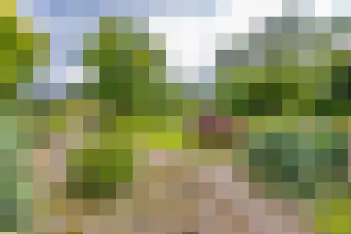 Hoofdweg 3 Klijndijk thumbnail 60