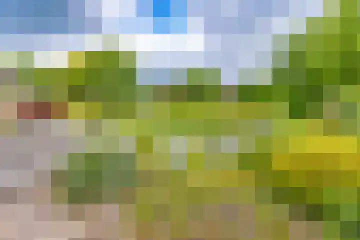 Hoofdweg 3 Klijndijk thumbnail 61