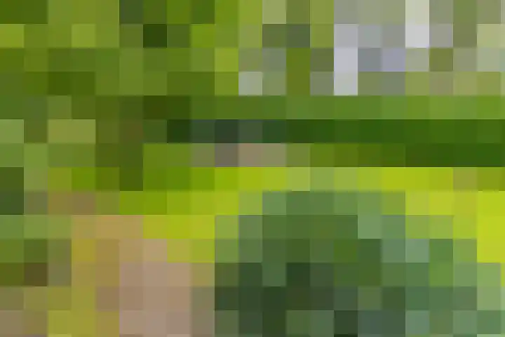 Hoofdweg 3 Klijndijk thumbnail 62