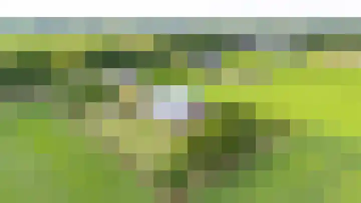 Hoofdweg 3 Klijndijk thumbnail 63