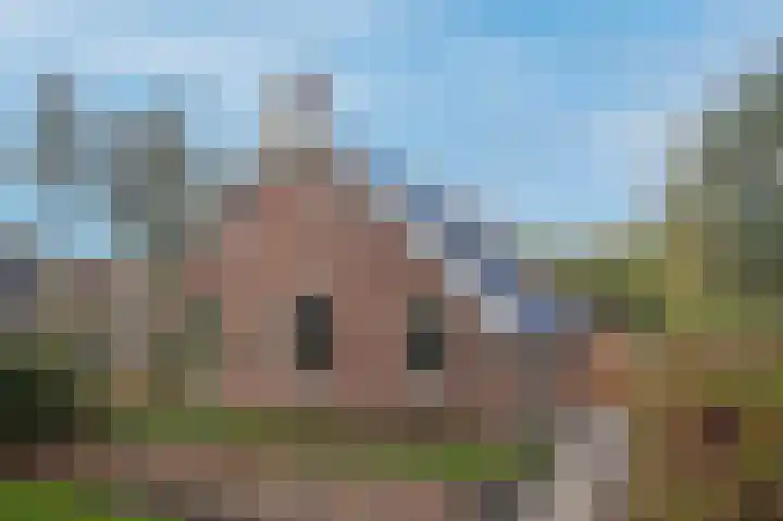 Hoofdweg 3 Peest thumbnail 10