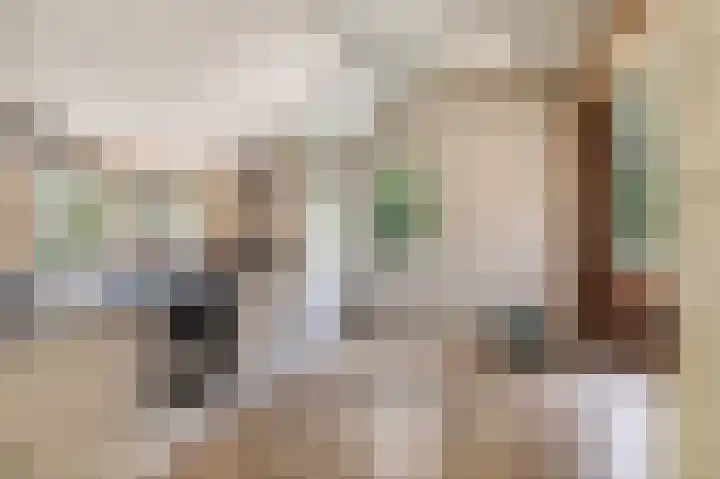 Hoofdweg 3 Peest thumbnail 15