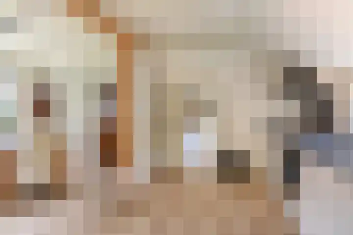 Hoofdweg 3 Peest thumbnail 16