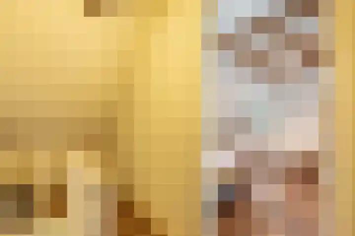 Hoofdweg 3 Peest thumbnail 34