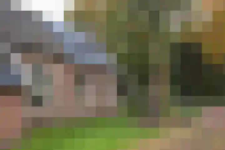 Hoofdweg 3 Peest thumbnail 40