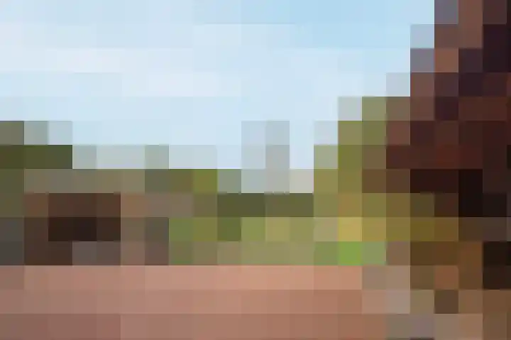Hoofdweg 3 Peest thumbnail 44