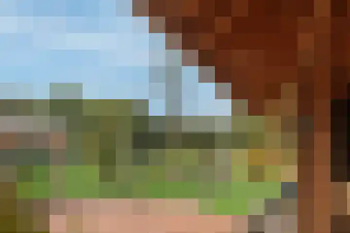 Hoofdweg 3 Peest thumbnail 45