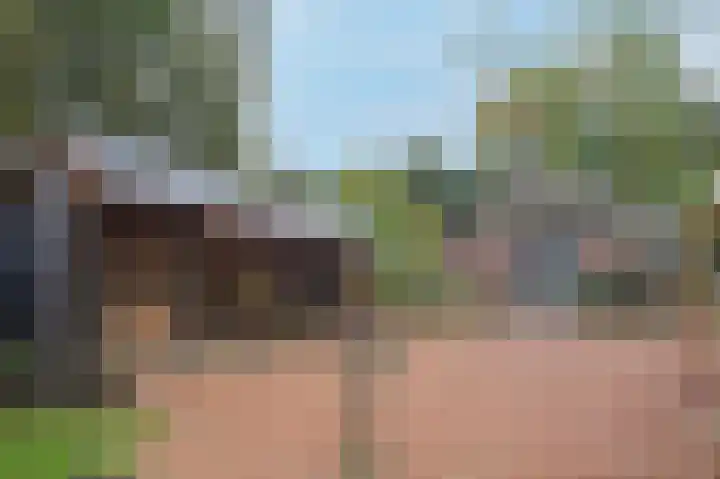 Hoofdweg 3 Peest thumbnail 48