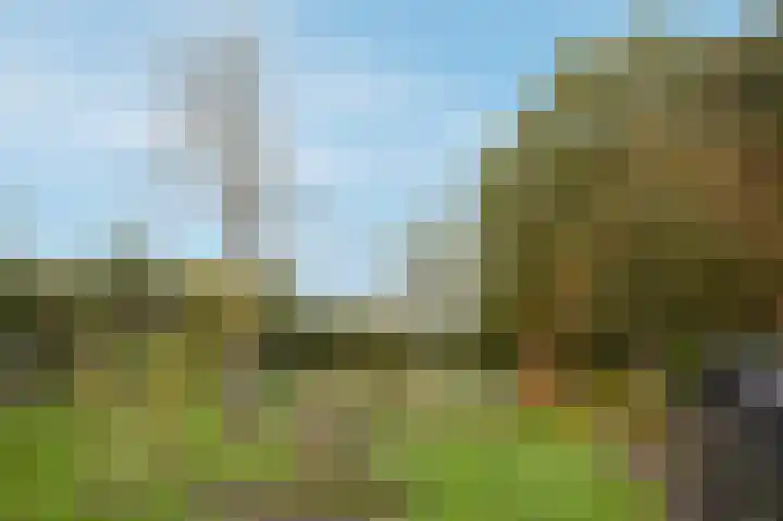 Hoofdweg 3 Peest thumbnail 50