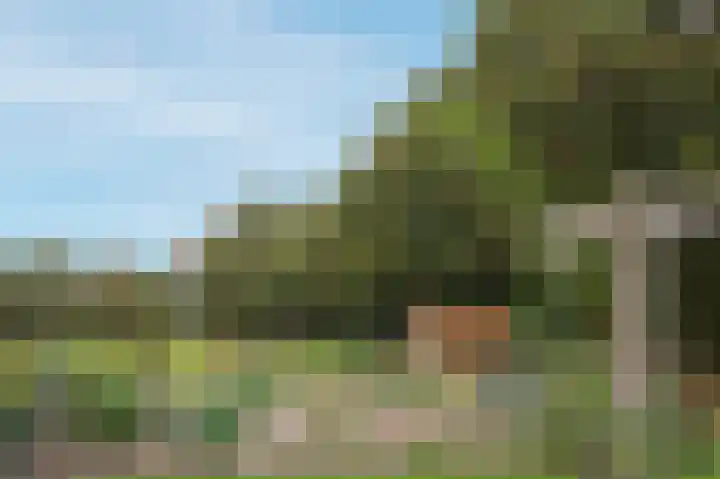 Hoofdweg 3 Peest thumbnail 51