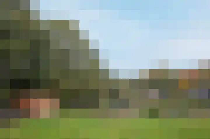 Hoofdweg 3 Peest thumbnail 54