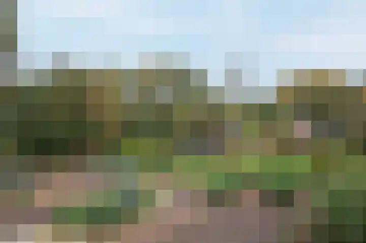 Hoofdweg 3 Peest thumbnail 56