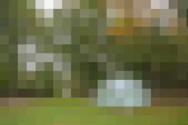 Hoofdweg 3 Peest thumbnail 57