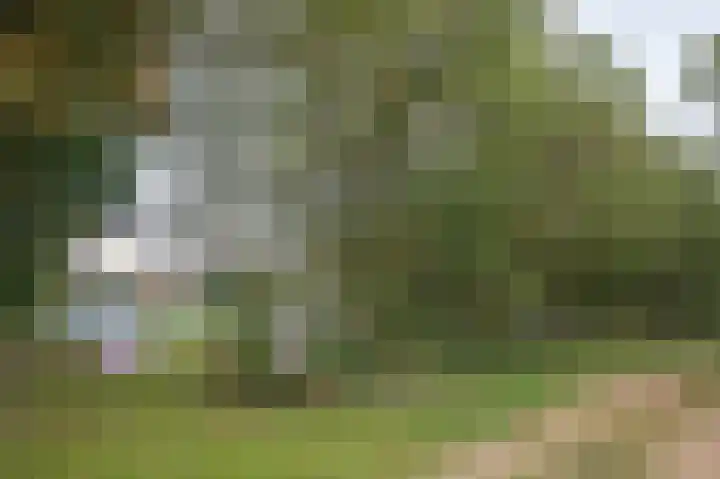 Hoofdweg 3 Peest thumbnail 58
