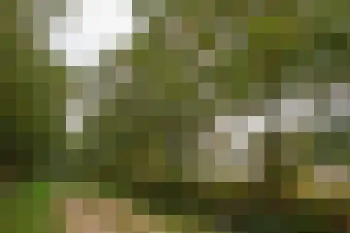 Hoofdweg 3 Peest thumbnail 59