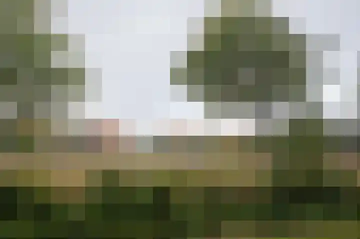 Hoofdweg 3 Peest thumbnail 60