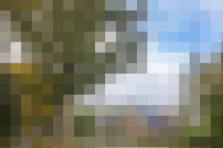 Hoofdweg 3 Peest thumbnail 8
