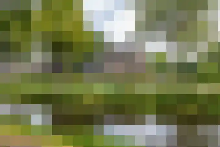 Hoofdweg 30 Veenhuizen thumbnail 12