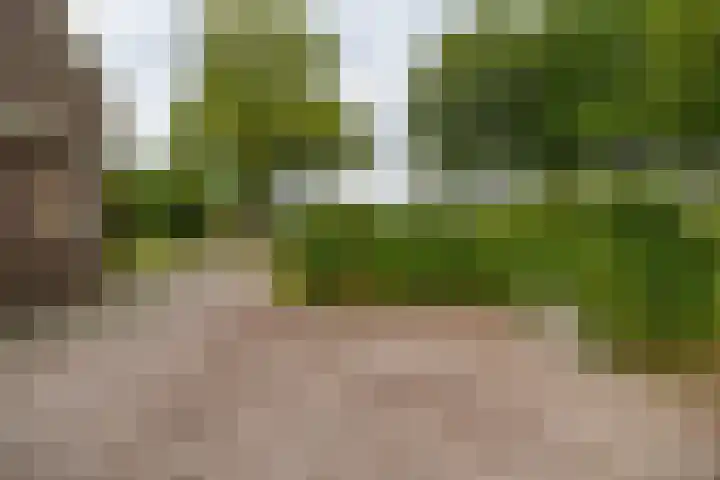 Hoofdweg 30 Veenhuizen thumbnail 13