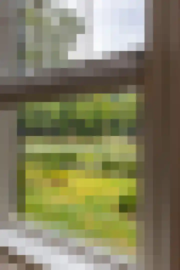 Hoofdweg 30 Veenhuizen thumbnail 27