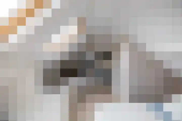 Hoofdweg 30 Veenhuizen thumbnail 42