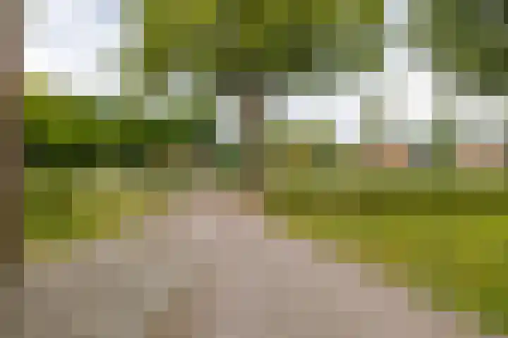 Hoofdweg 30 Veenhuizen thumbnail 45