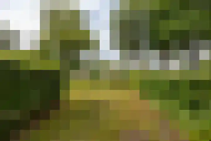 Hoofdweg 30 Veenhuizen thumbnail 46