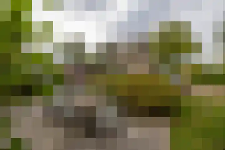 Hoofdweg 30 Veenhuizen thumbnail 49