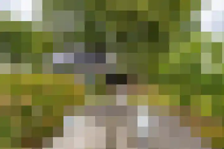 Hoofdweg 30 Veenhuizen thumbnail 50