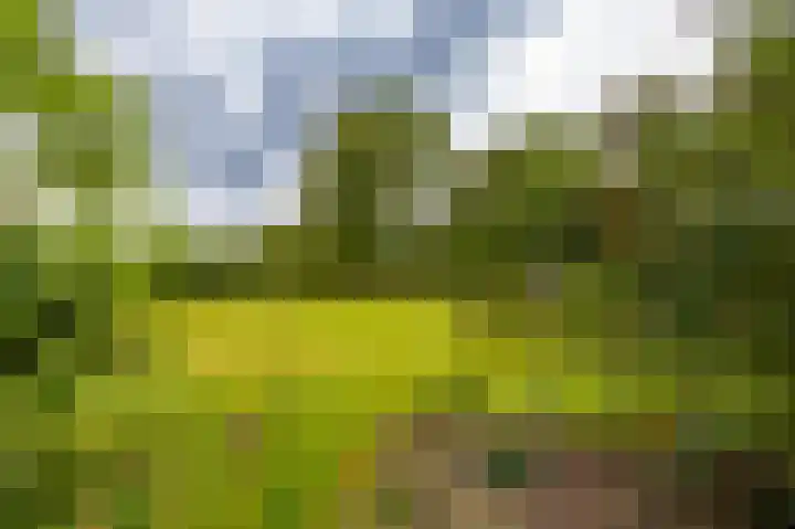 Hoofdweg 30 Veenhuizen thumbnail 51