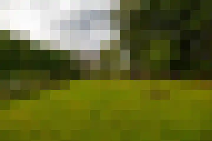 Hoofdweg 30 Veenhuizen thumbnail 52