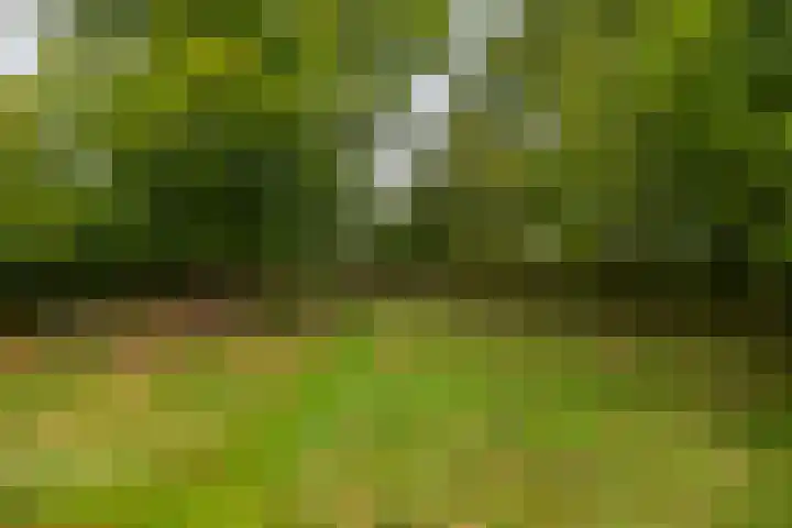 Hoofdweg 30 Veenhuizen thumbnail 53