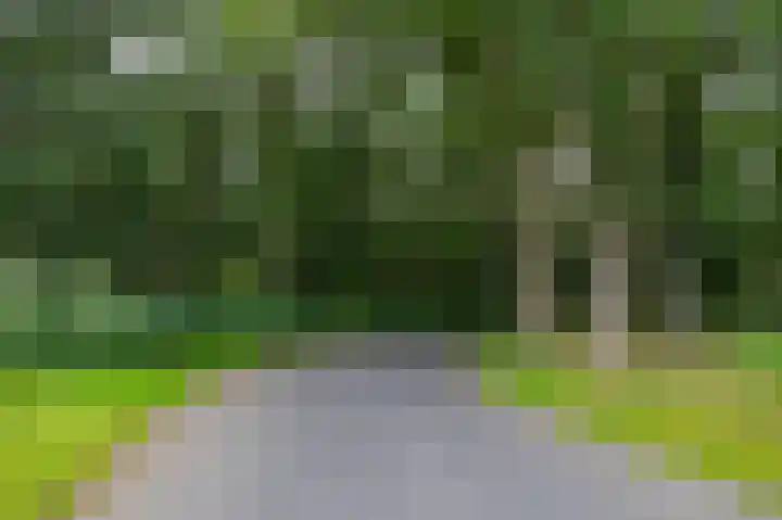 Hoofdweg 30 Veenhuizen thumbnail 54