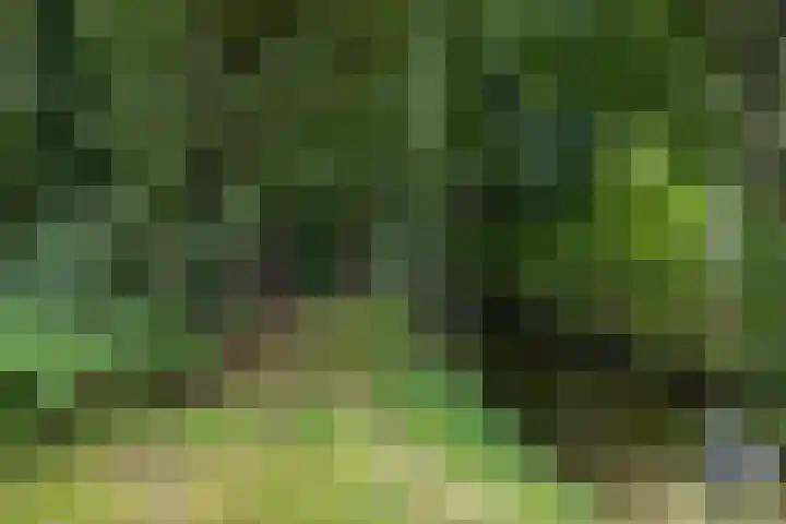 Hoofdweg 30 Veenhuizen thumbnail 55
