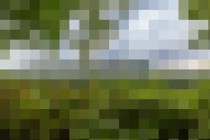 Hoofdweg 30 Veenhuizen thumbnail 56